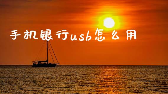手机银行usb怎么用_https://wap.yjjixie.cn_证券市场_第1张