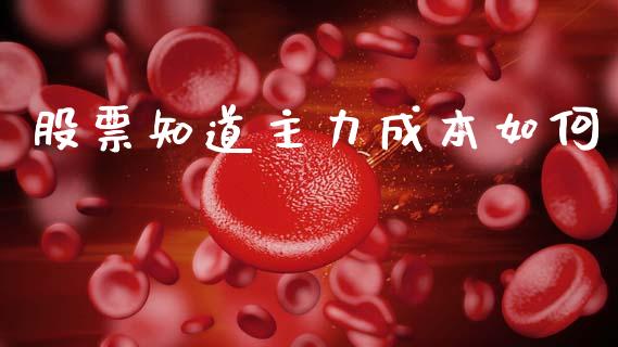 股票知道主力成本如何_https://wap.yjjixie.cn_保险理财_第1张