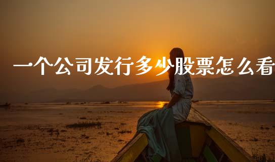 一个公司发行多少股票怎么看_https://wap.yjjixie.cn_证券市场_第1张