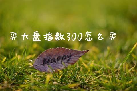 买大盘指数300怎么买_https://wap.yjjixie.cn_证券市场_第1张