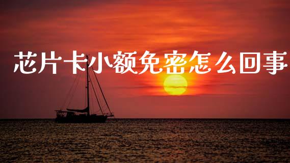 芯片卡小额免密怎么回事_https://wap.yjjixie.cn_港股行情_第1张