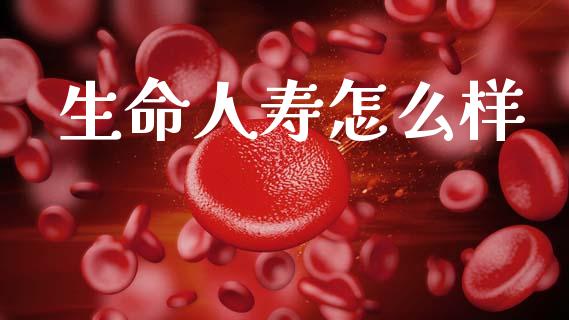 生命人寿怎么样_https://wap.yjjixie.cn_保险理财_第1张
