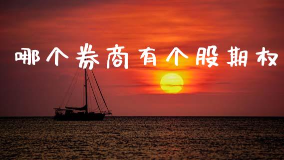 哪个券商有个股期权_https://wap.yjjixie.cn_证券市场_第1张