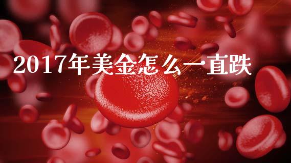 2017年美金怎么一直跌_https://wap.yjjixie.cn_保险理财_第1张