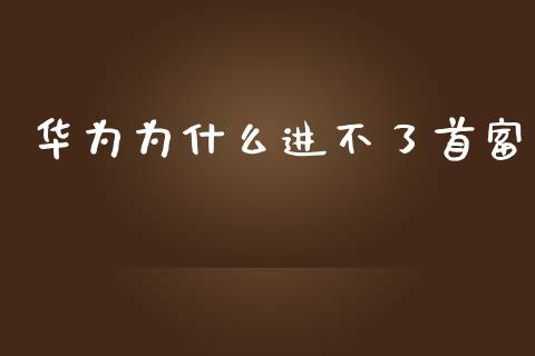 华为为什么进不了首富_https://wap.yjjixie.cn_港股行情_第1张