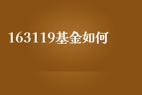 163119基金如何_https://wap.yjjixie.cn_港股行情_第1张