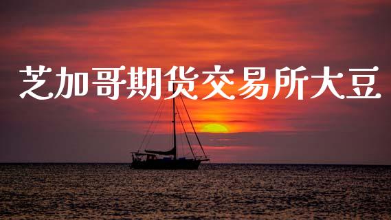 芝加哥期货交易所大豆_https://wap.yjjixie.cn_港股行情_第1张