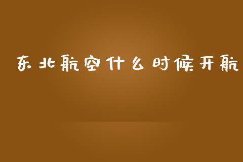 东北航空什么时候开航_https://wap.yjjixie.cn_保险理财_第1张