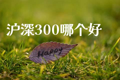 沪深300哪个好_https://wap.yjjixie.cn_商业资讯_第1张