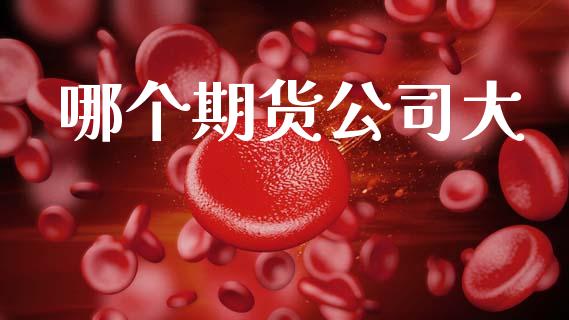 哪个期货公司大_https://wap.yjjixie.cn_证券市场_第1张