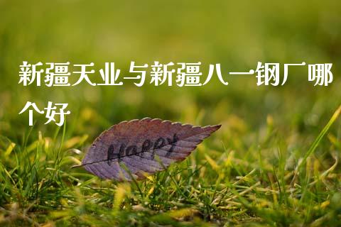 新疆天业与新疆八一钢厂哪个好_https://wap.yjjixie.cn_保险理财_第1张