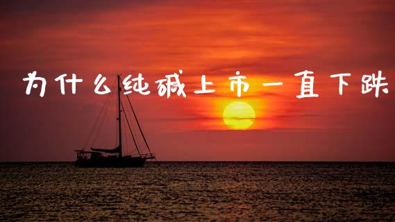为什么纯碱上市一直下跌_https://wap.yjjixie.cn_港股行情_第1张