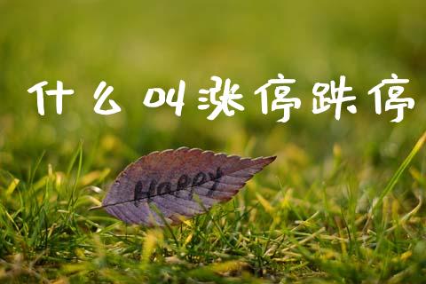什么叫涨停跌停_https://wap.yjjixie.cn_证券市场_第1张