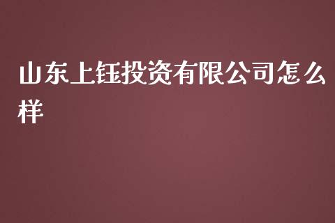 山东上钰投资有限公司怎么样_https://wap.yjjixie.cn_保险理财_第1张