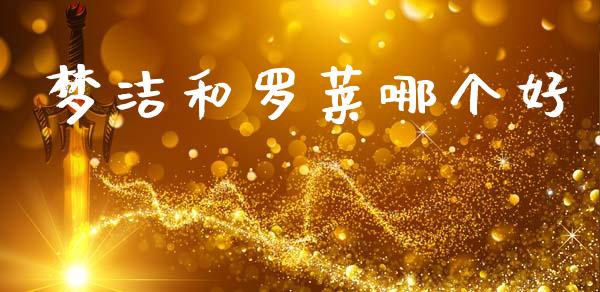 梦洁和罗莱哪个好_https://wap.yjjixie.cn_证券市场_第1张