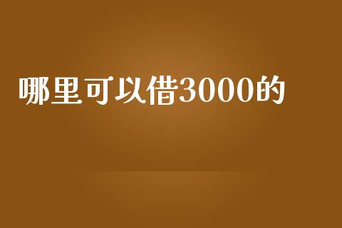 哪里可以借3000的_https://wap.yjjixie.cn_商业资讯_第1张