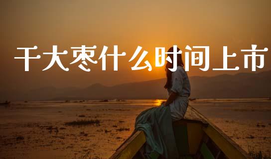 干大枣什么时间上市_https://wap.yjjixie.cn_港股行情_第1张