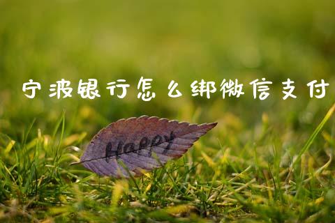 宁波银行怎么绑微信支付_https://wap.yjjixie.cn_港股行情_第1张