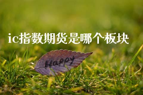 ic指数期货是哪个板块_https://wap.yjjixie.cn_保险理财_第1张