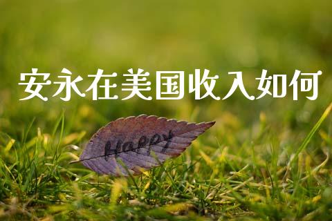 安永在美国收入如何_https://wap.yjjixie.cn_港股行情_第1张