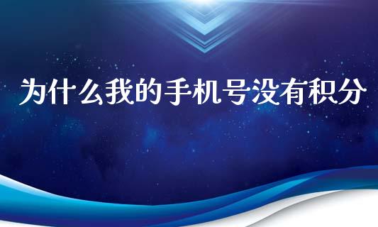 为什么我的手机号没有积分_https://wap.yjjixie.cn_证券市场_第1张