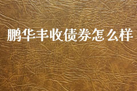 鹏华丰收债券怎么样_https://wap.yjjixie.cn_港股行情_第1张