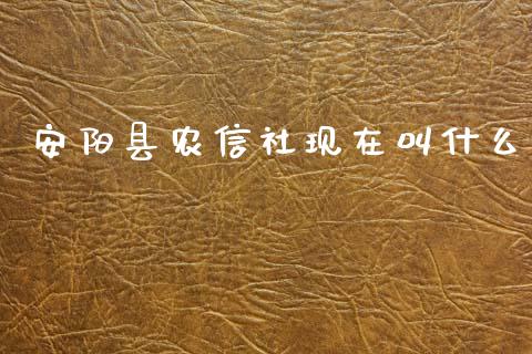 安阳县农信社现在叫什么_https://wap.yjjixie.cn_港股行情_第1张