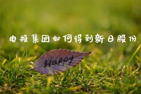 电投集团如何得到新日股份_https://wap.yjjixie.cn_商业资讯_第1张