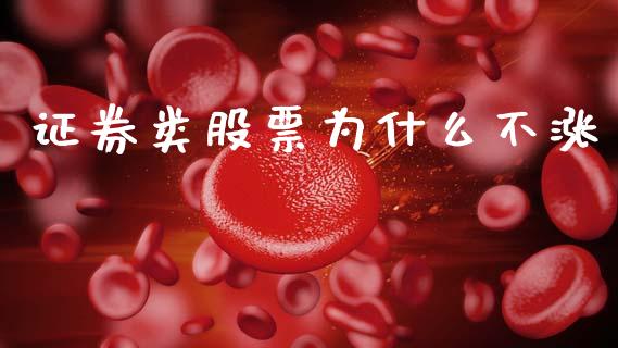 证券类股票为什么不涨_https://wap.yjjixie.cn_商业资讯_第1张
