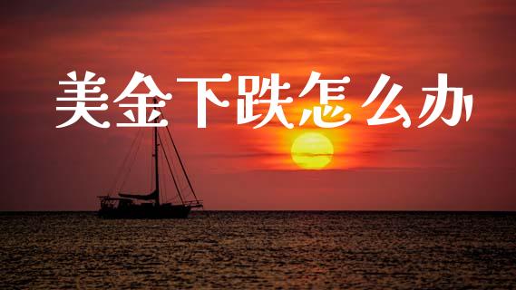 美金下跌怎么办_https://wap.yjjixie.cn_证券市场_第1张