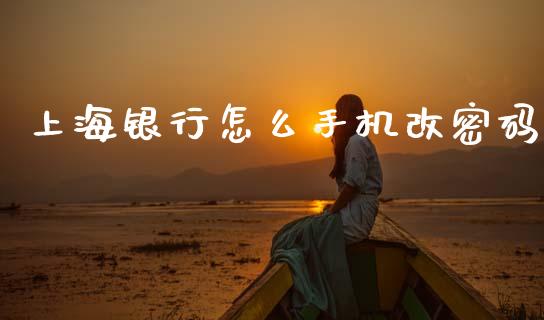 上海银行怎么手机改密码_https://wap.yjjixie.cn_商业资讯_第1张