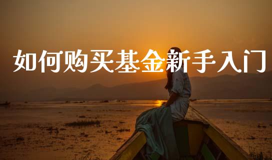 如何购买基金新手入门_https://wap.yjjixie.cn_商业资讯_第1张