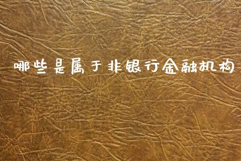 哪些是属于非银行金融机构_https://wap.yjjixie.cn_证券市场_第1张