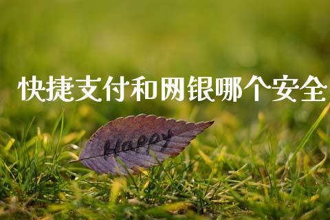快捷支付和网银哪个安全_https://wap.yjjixie.cn_保险理财_第1张