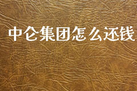 中仑集团怎么还钱_https://wap.yjjixie.cn_证券市场_第1张