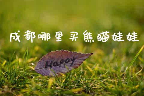 成都哪里买熊猫娃娃_https://wap.yjjixie.cn_保险理财_第1张