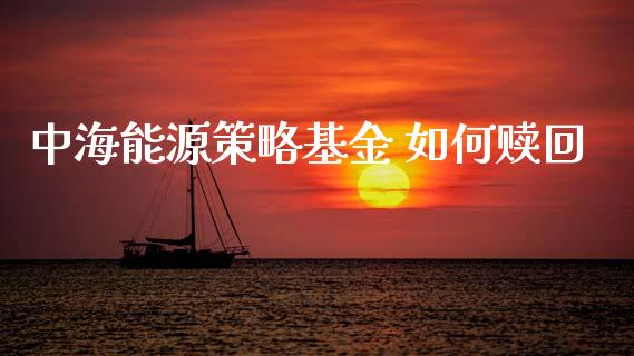 中海能源策略基金 如何赎回_https://wap.yjjixie.cn_港股行情_第1张