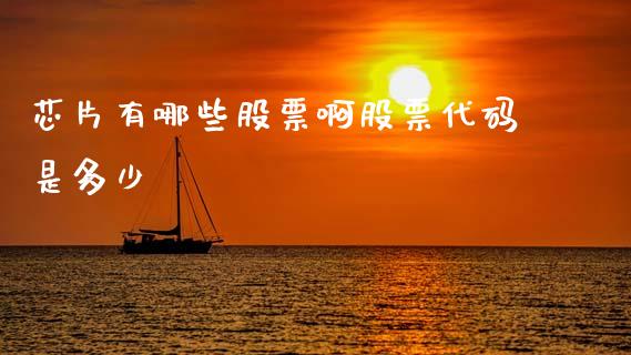 芯片有哪些股票啊股票代码是多少_https://wap.yjjixie.cn_保险理财_第1张