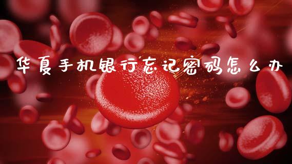 华夏手机银行忘记密码怎么办_https://wap.yjjixie.cn_证券市场_第1张