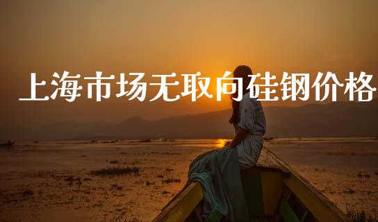 上海市场无取向硅钢价格_https://wap.yjjixie.cn_证券市场_第1张
