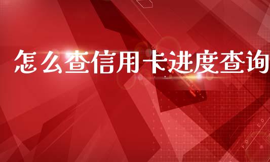 怎么查信用卡进度查询_https://wap.yjjixie.cn_保险理财_第1张