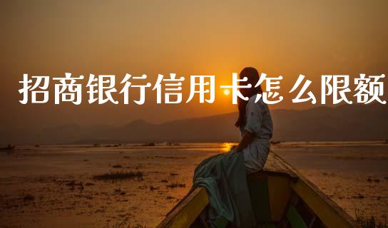招商银行信用卡怎么限额_https://wap.yjjixie.cn_保险理财_第1张