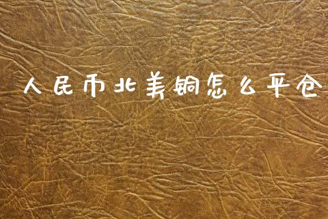 人民币北美铜怎么平仓_https://wap.yjjixie.cn_证券市场_第1张