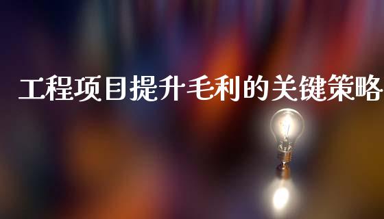 工程项目提升毛利的关键策略_https://wap.yjjixie.cn_保险理财_第1张