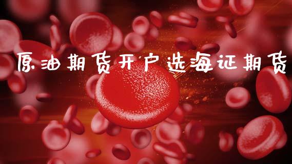 原油期货开户选海证期货_https://wap.yjjixie.cn_证券市场_第1张