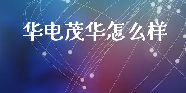 华电茂华怎么样_https://wap.yjjixie.cn_保险理财_第1张