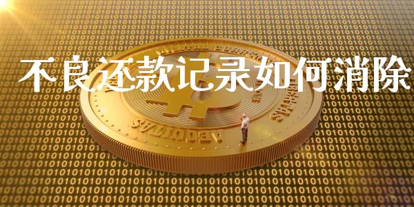 不良还款记录如何消除_https://wap.yjjixie.cn_证券市场_第1张