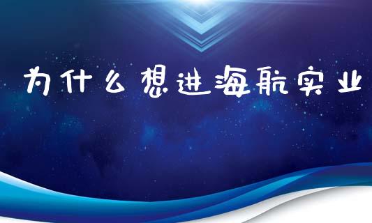 为什么想进海航实业_https://wap.yjjixie.cn_商业资讯_第1张