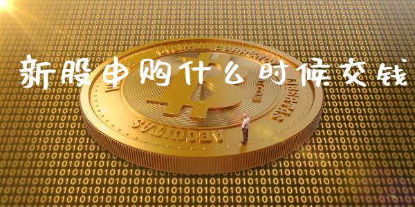 新股申购什么时候交钱_https://wap.yjjixie.cn_证券市场_第1张
