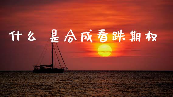 什么 是合成看跌期权_https://wap.yjjixie.cn_保险理财_第1张